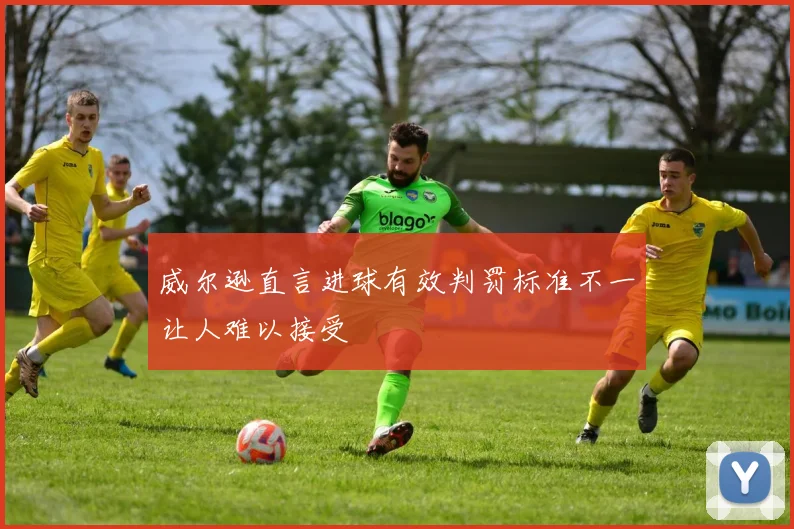 威尔逊直言进球有效判罚标准不一让人难以接受
