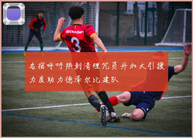 名宿呼吁热刺清理冗员并加大引援力度助力德泽尔比建队